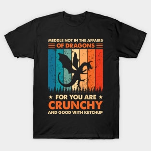 Meddle Not In The Affairs Of Dragons T-Shirt